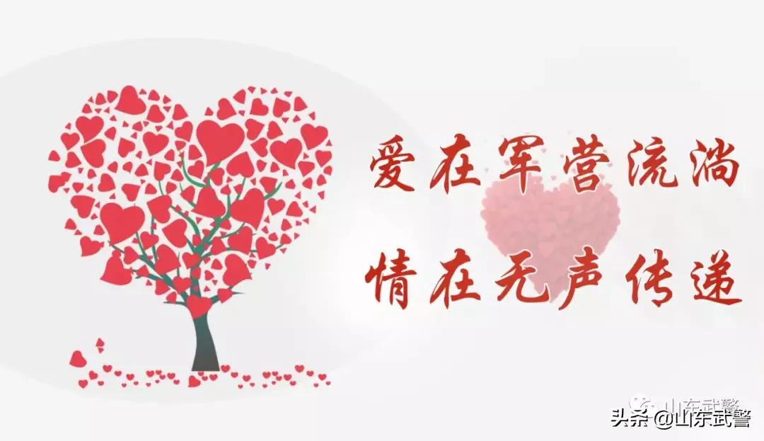 山东潍坊部队最新消息，军民融合发展新篇章
