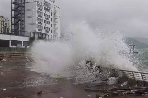 深圳台风最新消息报道，风雨中的守护与应对