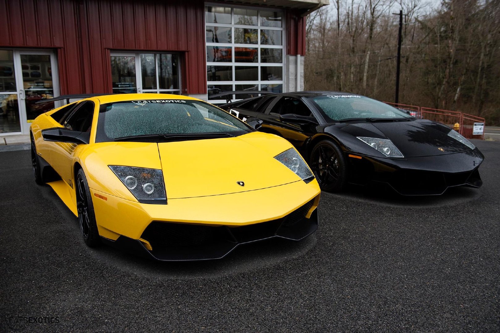 murcielago