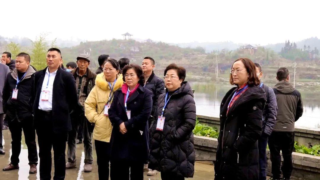 中电普安电厂最新消息