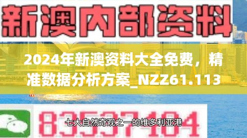 2025年新澳正版资料，精选解析与未来展望
