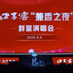 澳门王中王，历史传承与现代创新的完美融合