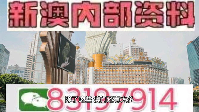 2025年澳门特马今晚，精选解析与解释落实