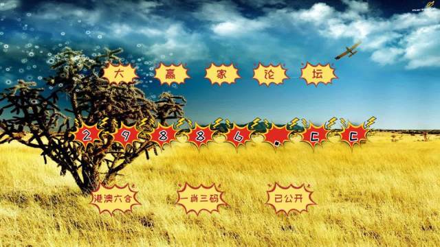 澳门4949今晚开奖，全面释义解释落实